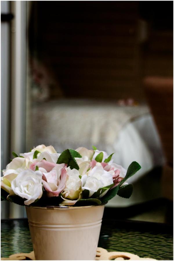 Villa Rose Cottages 블룸폰테인 외부 사진